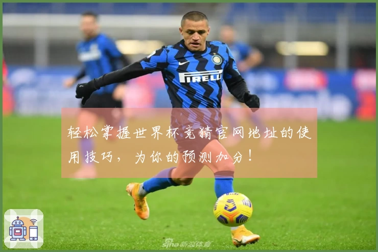 轻松掌握世界杯竞猜官网地址的使用技巧，为你的预测加分！