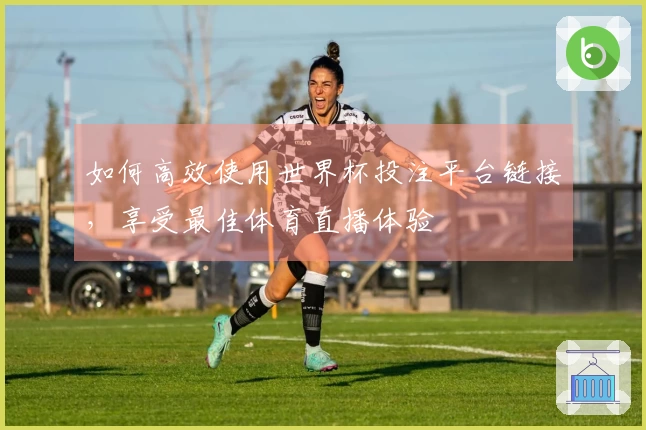 如何高效使用世界杯投注平台链接，享受最佳体育直播体验