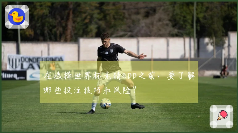 在选择世界杯竞猜app之前，要了解哪些投注技巧和风险？