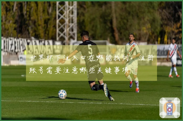 世界杯下注入口在哪能找到，注册账号需要注意哪些关键事项