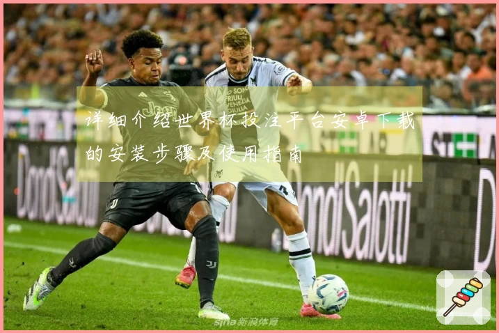 详细介绍世界杯投注平台安卓下载的安装步骤及使用指南