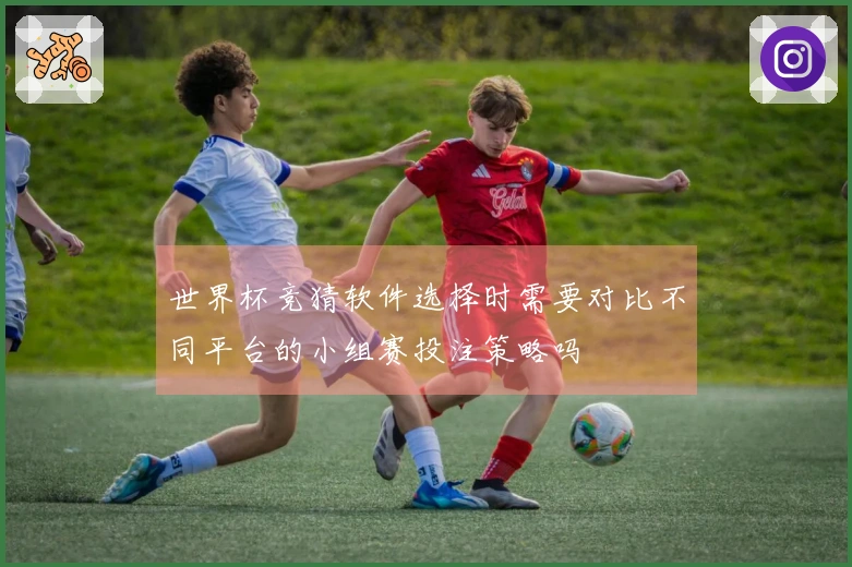 世界杯竞猜软件选择时需要对比不同平台的小组赛投注策略吗