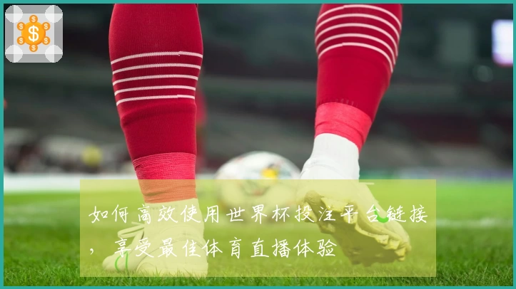 如何高效使用世界杯投注平台链接,享受最佳体育直播体验