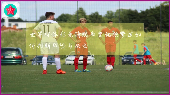 世界杯体彩竞猜赔率变化频繁该如何判断风险与机会