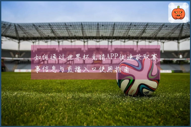 如何通过世界杯竞猜APP快速获取赛事信息与直播入口使用指南