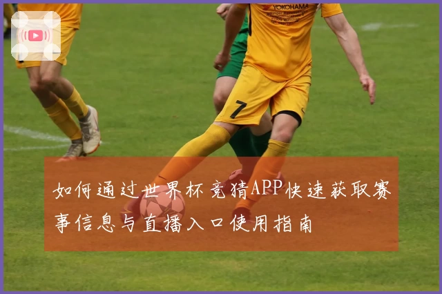 如何通过世界杯竞猜APP快速获取赛事信息与直播入口使用指南