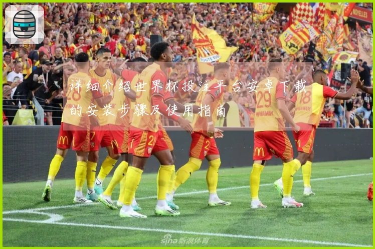 详细介绍世界杯投注平台安卓下载的安装步骤及使用指南